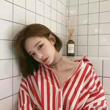 元首的面孔