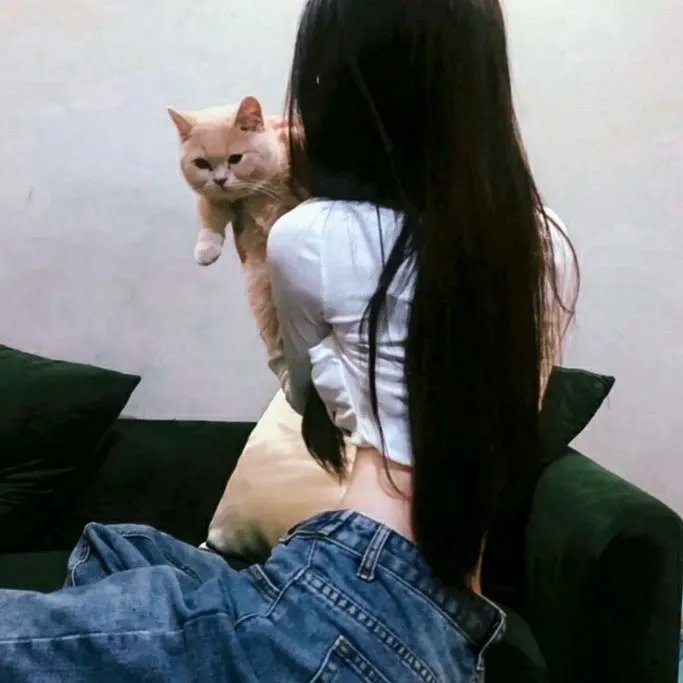 精灵古比